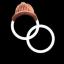 icon of Awaken
