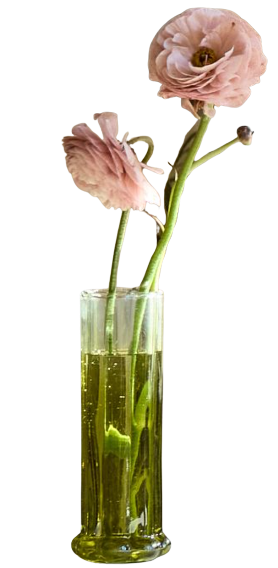 Tulip Bud Vase
