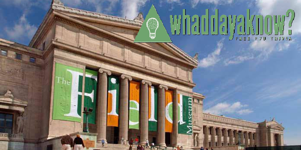 Whaddayaknow? Trivia Nights With the Historic Field Museum!'s picture