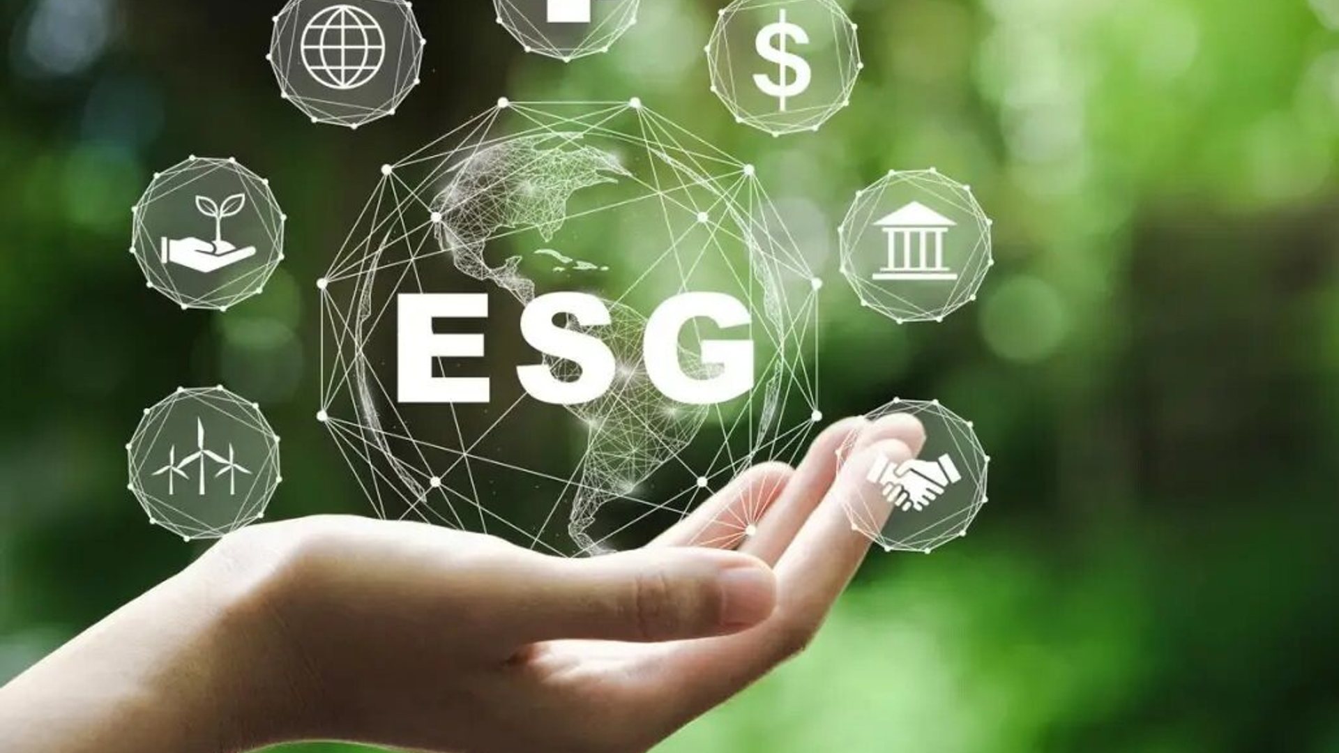 Family Office: Has the Era of ESG Popularity Arrived, and Are Charitable Trusts the Key to Unlocking It?