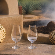 Tequila vs Mezcal shown in a practical side-by-side comparison