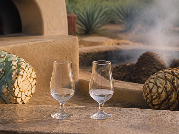 Tequila vs Mezcal shown in a practical side-by-side comparison