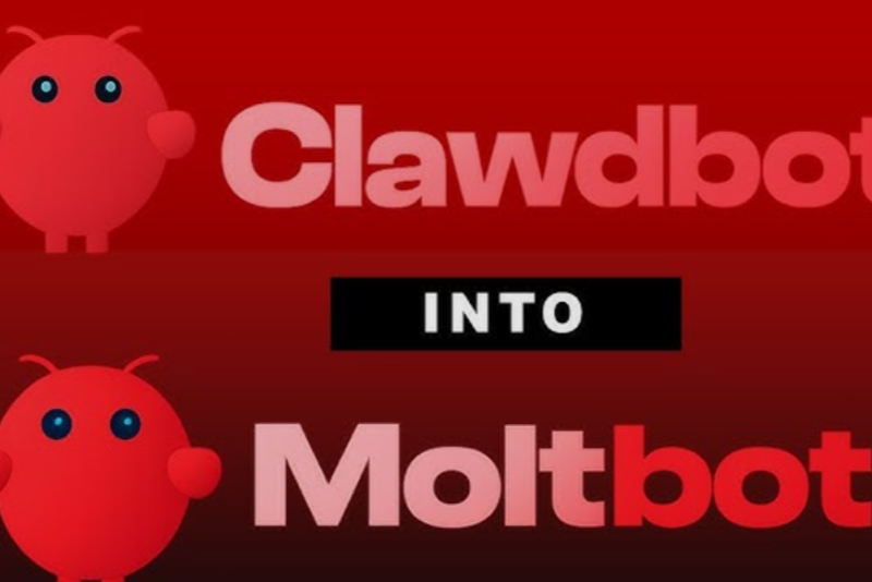 Moltbot: Navigating the Rebranding Storm of the Viral AI Agent
