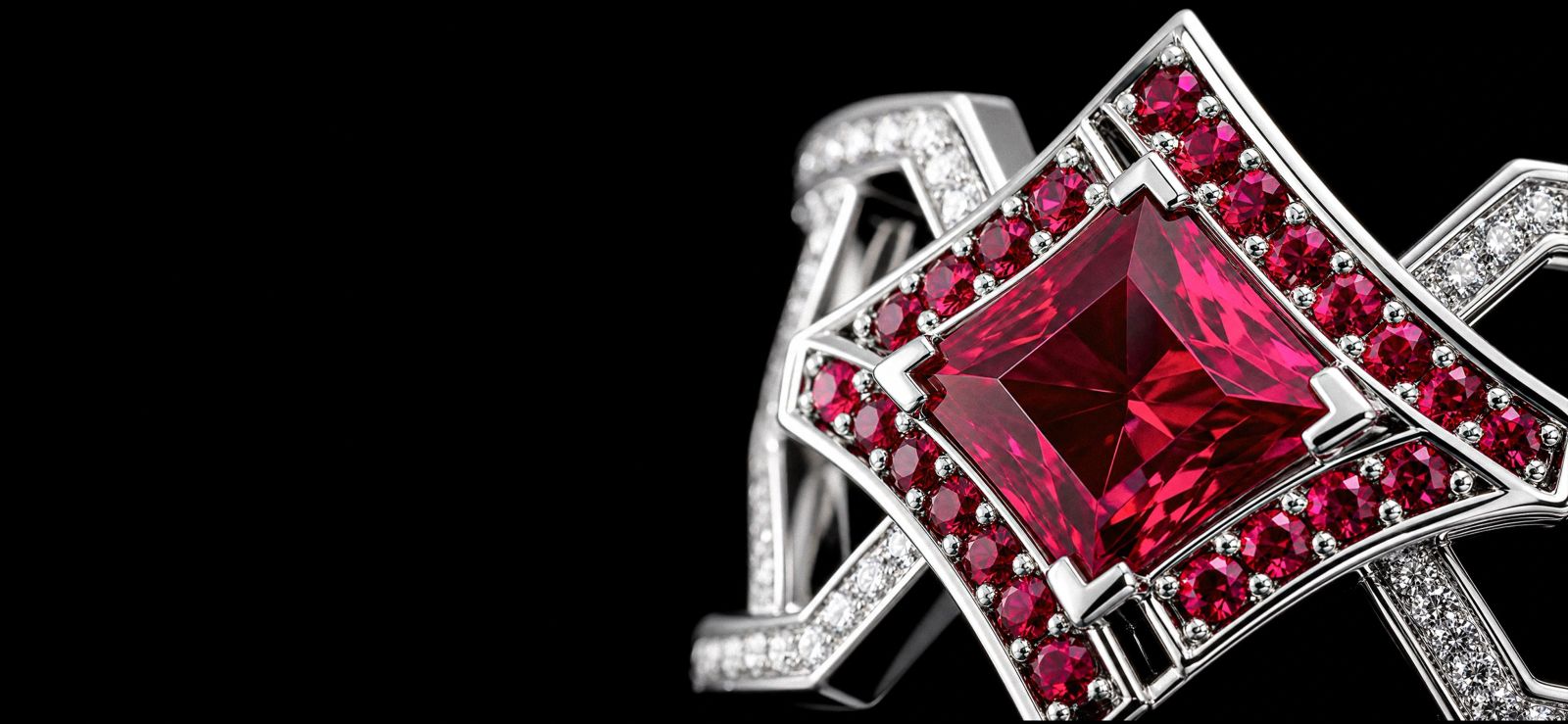 Jewelry outside.
Intelligence within.