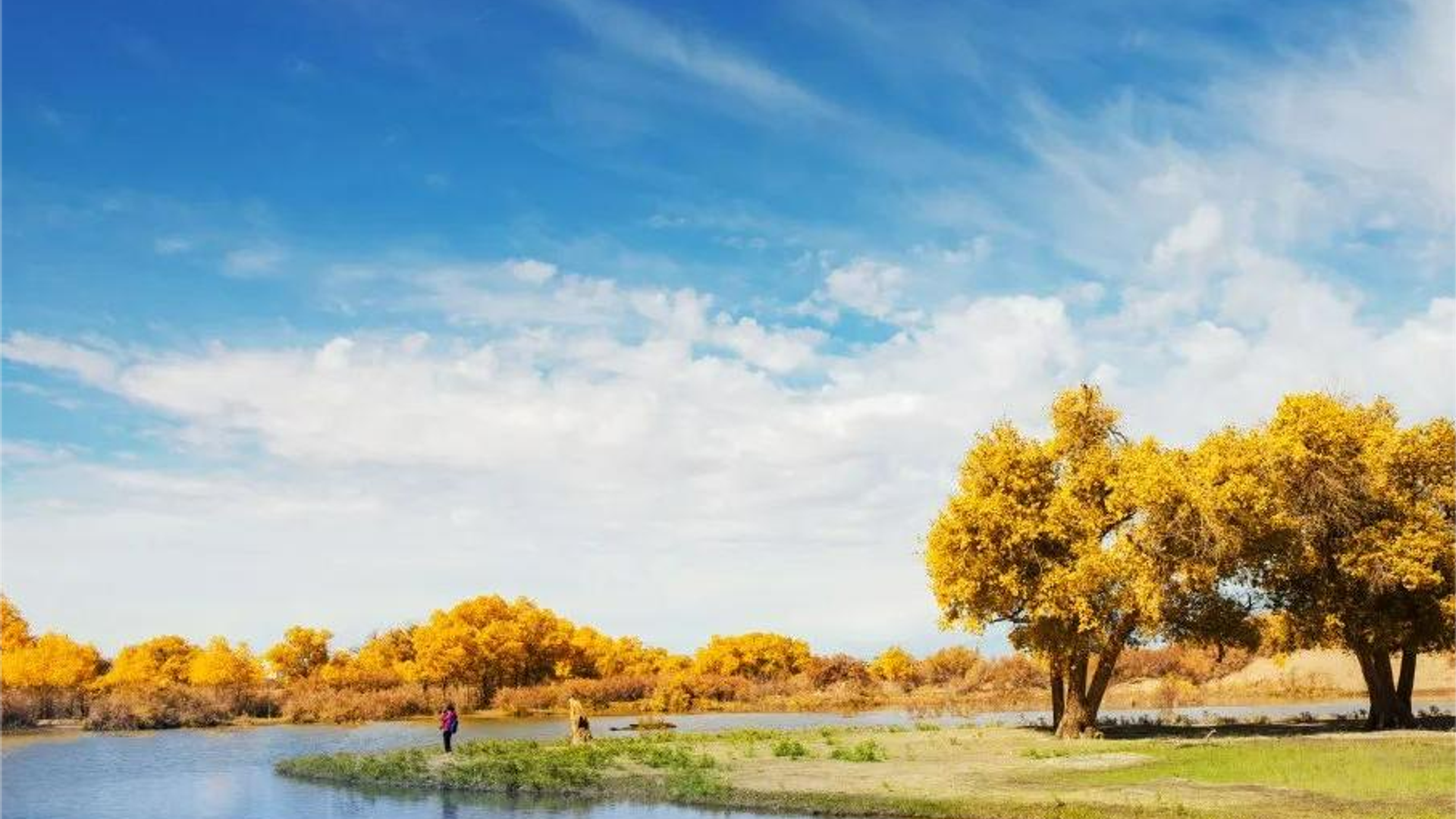 The domestic golden autumn scenery reaches its peak beauty, presenting a visual feast of over 9 million acres!