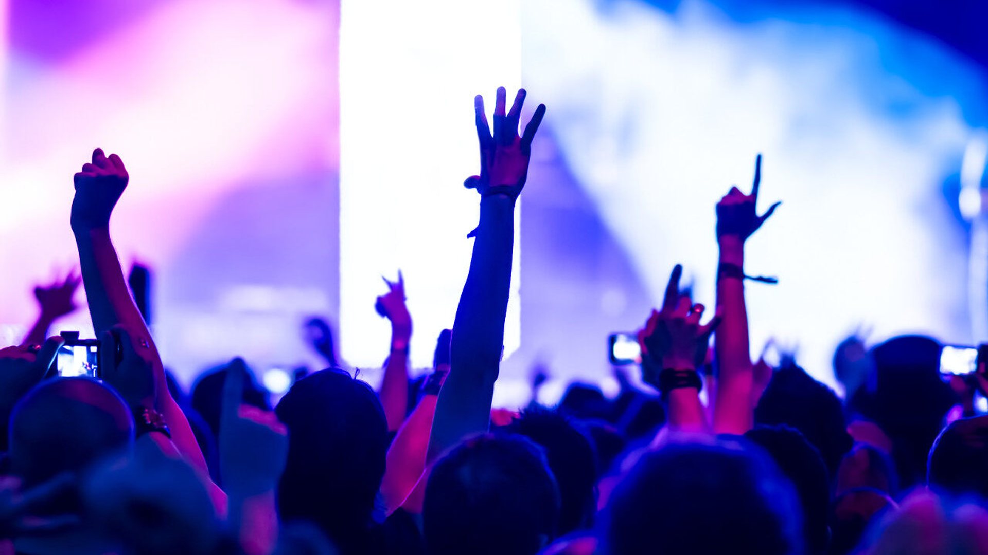 Celebrity Concert Ticket Purchase Strategy: One Article is Enough