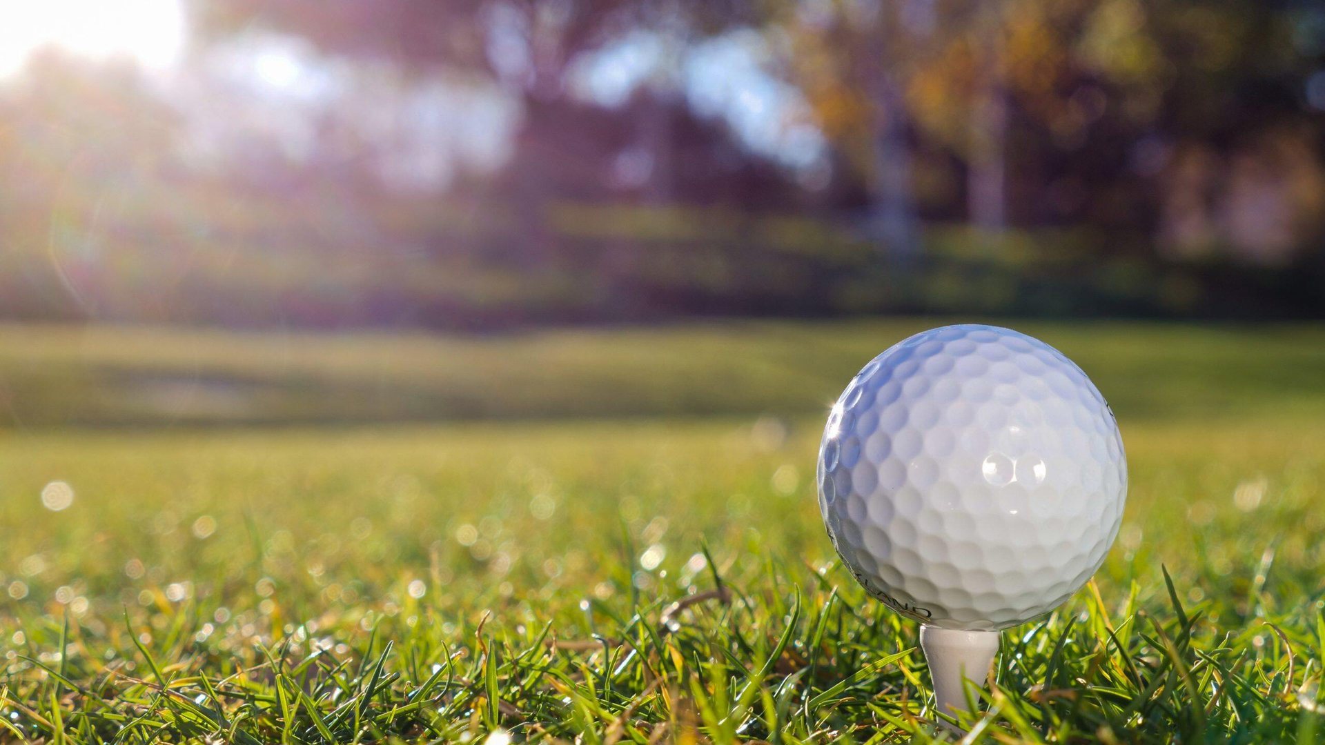 There is a kind of travel called golf.