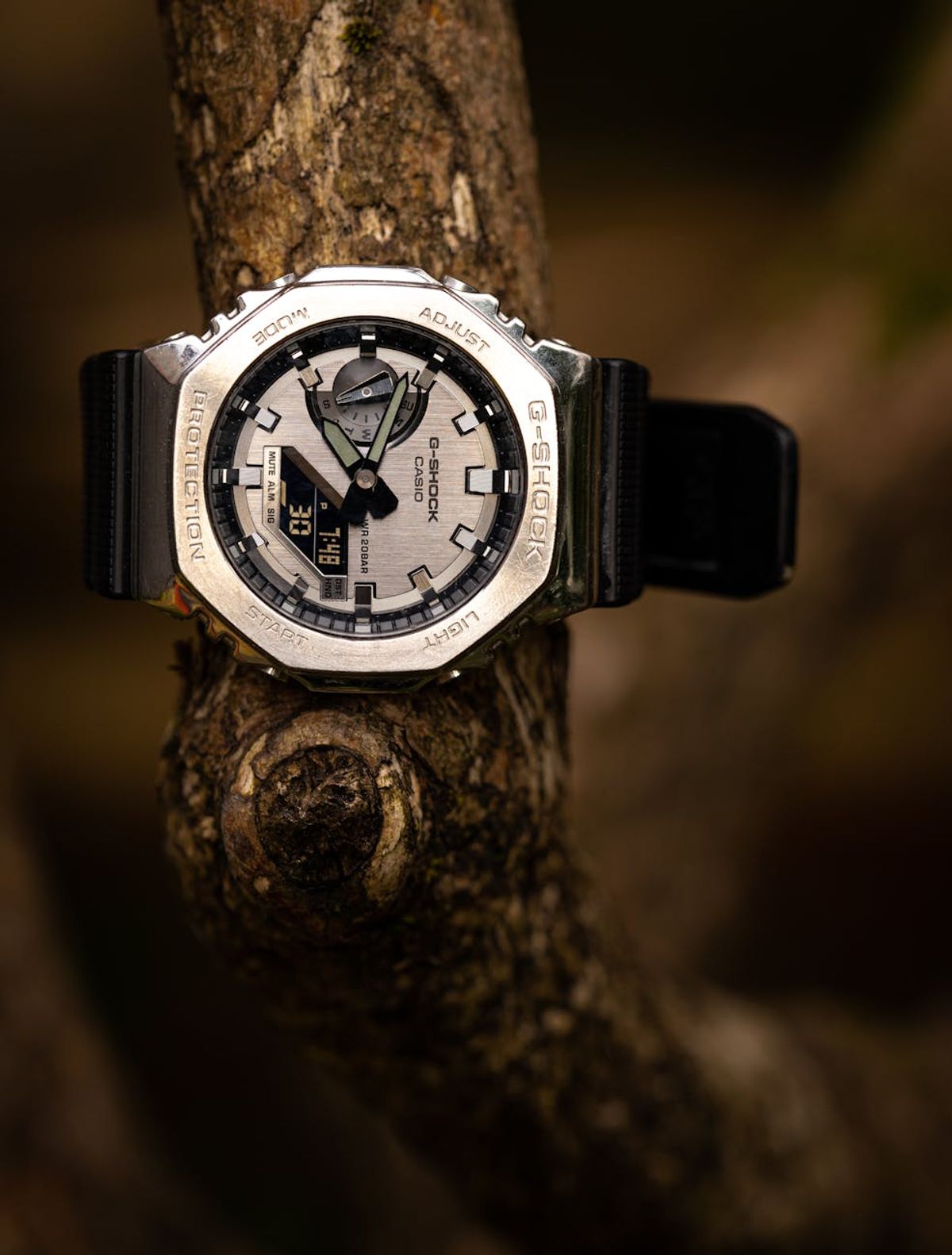 Close-up of a silver G-Shock wristwatch displayed on a tree branch, showcasing its rugged design.