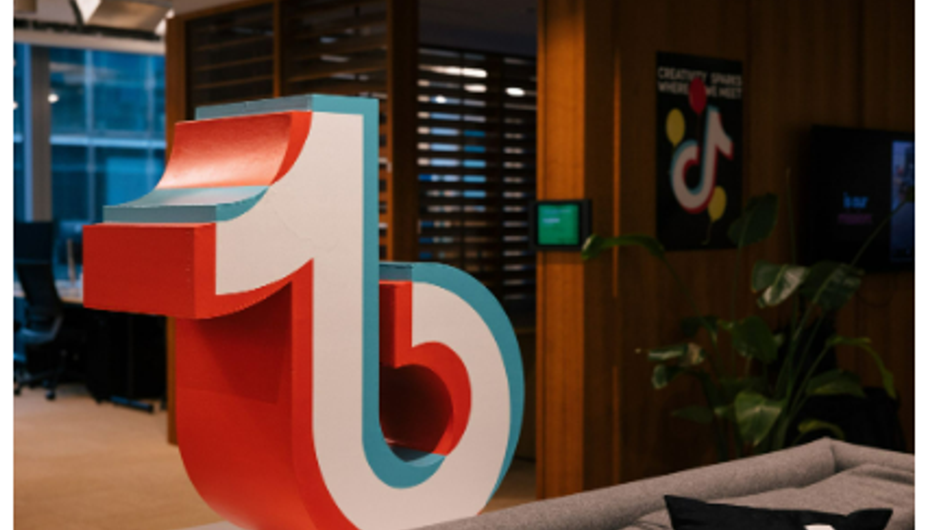 Financial Times-Fresh Calls to Ban It Have TikTok Worried