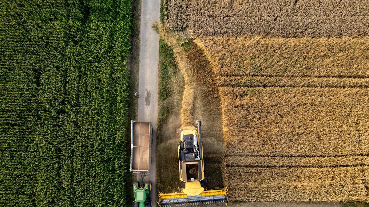 AI Applications in Precision Farming