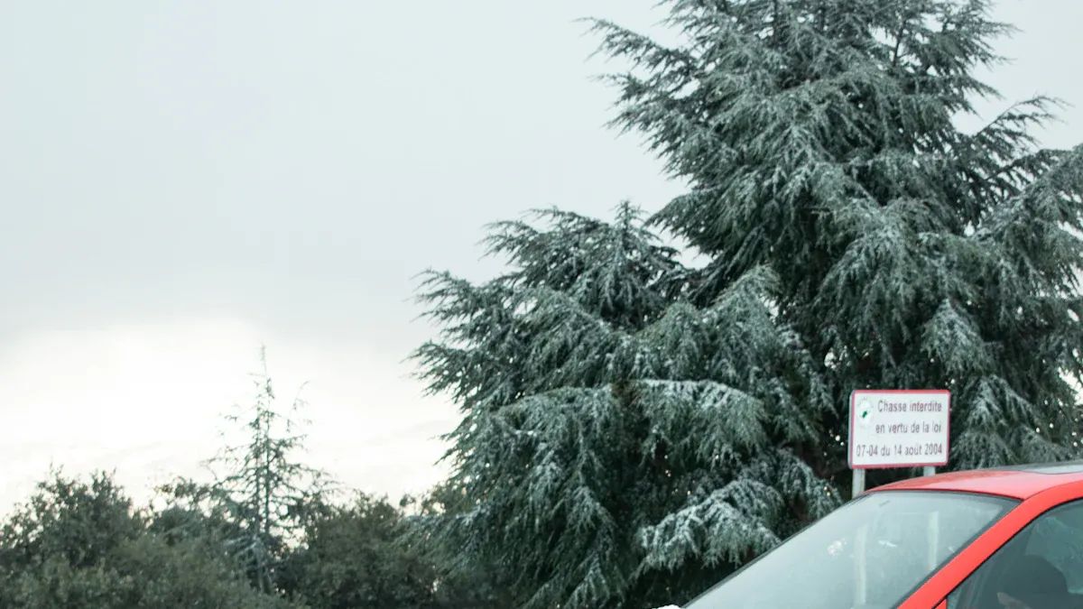 Ensuring the authenticity of Vertu VL0