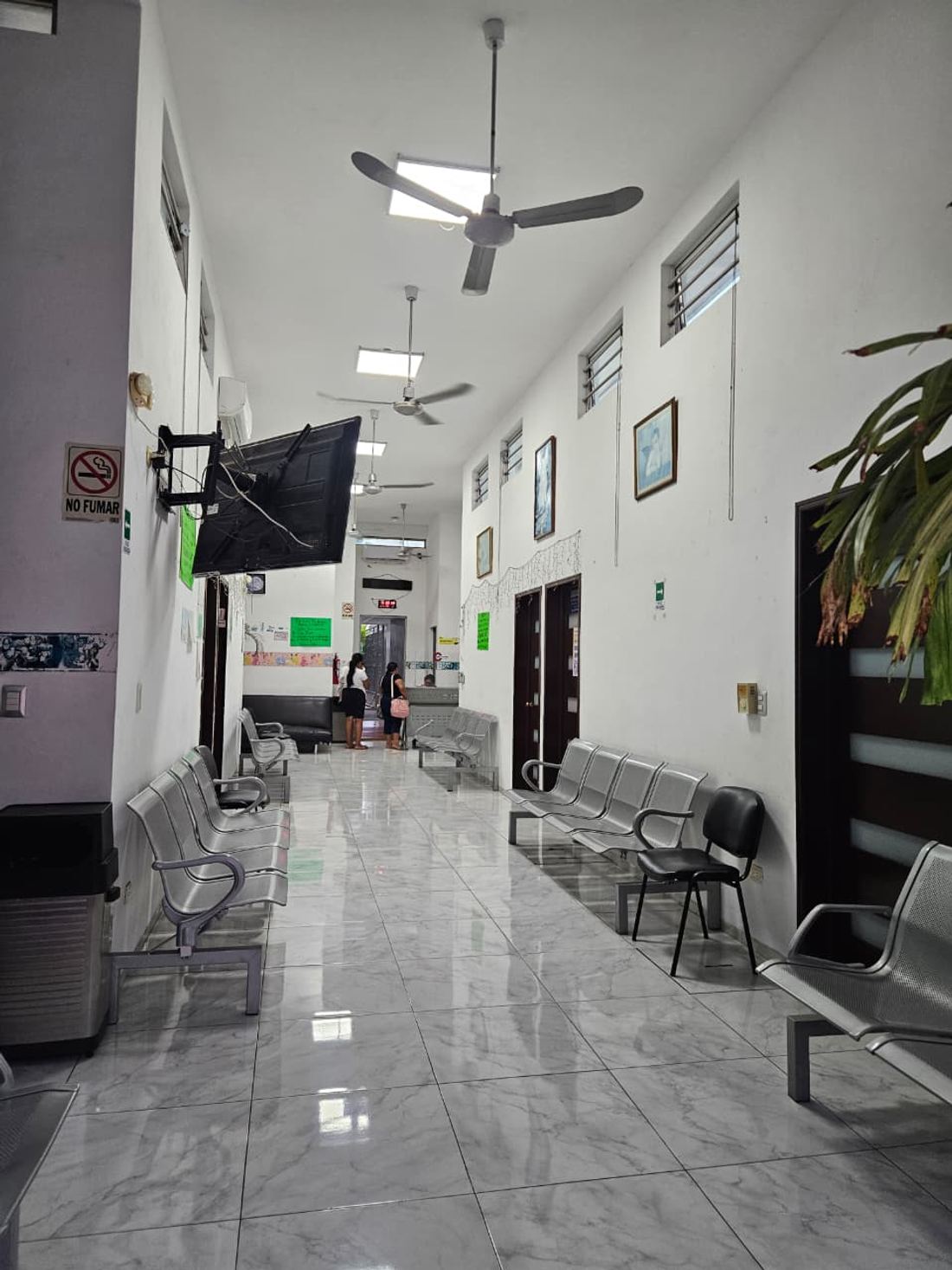 Zona de espera iluminada, con sillas, ventilador de techo y una planta al costado