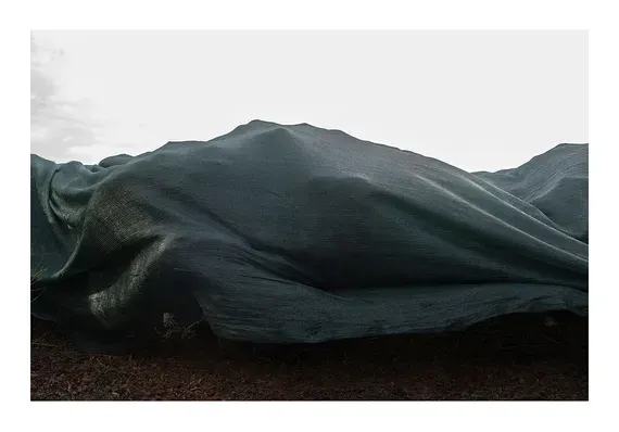 Dark fabric draped across a landscape
