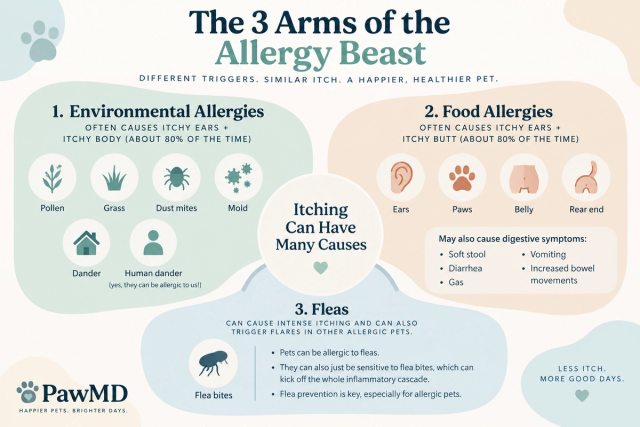 Infographic explaining the three major allergy triggers in pets: environmental allergies, food allergies, and fleas, with common symptoms and examples of each trigger.