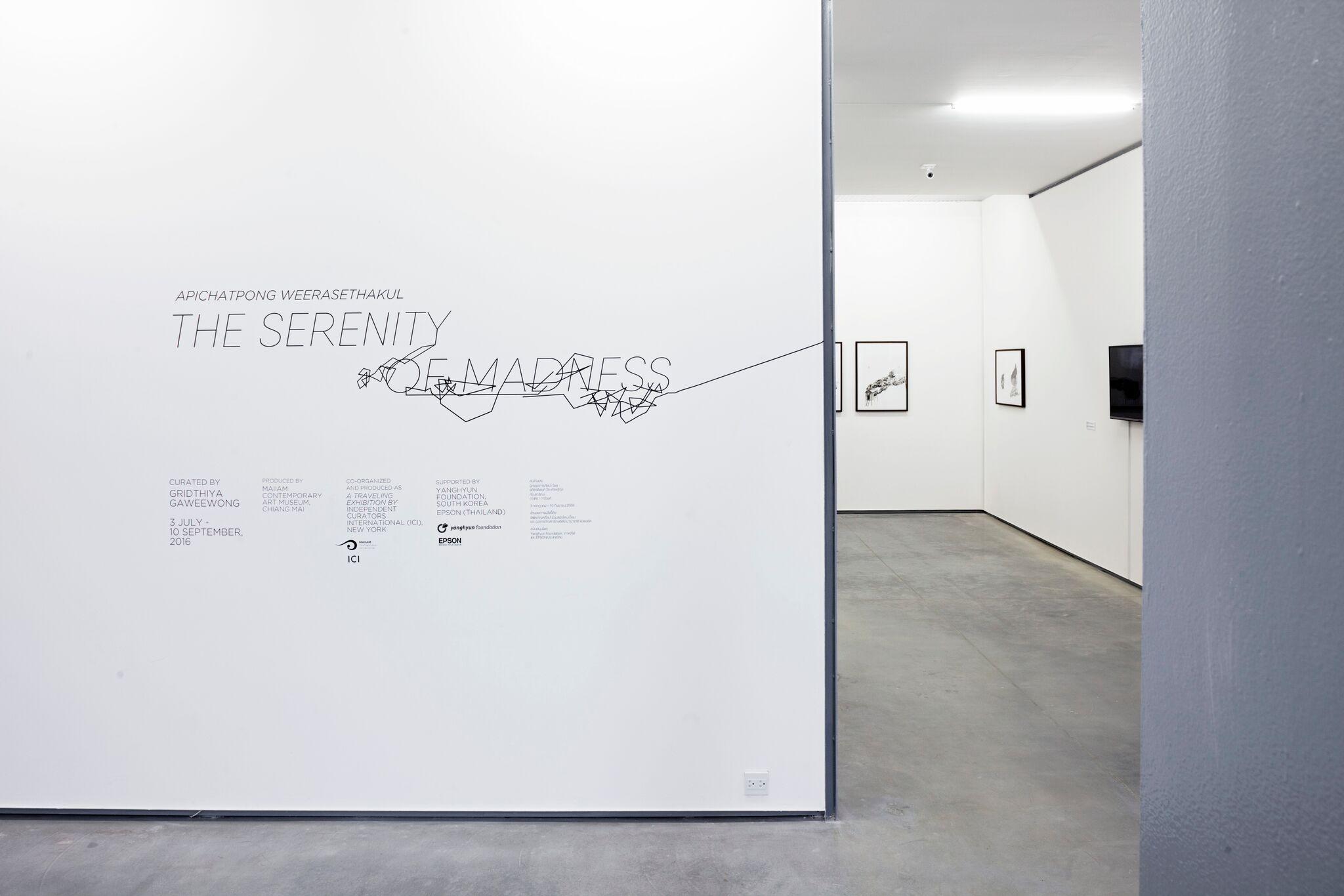 installation view