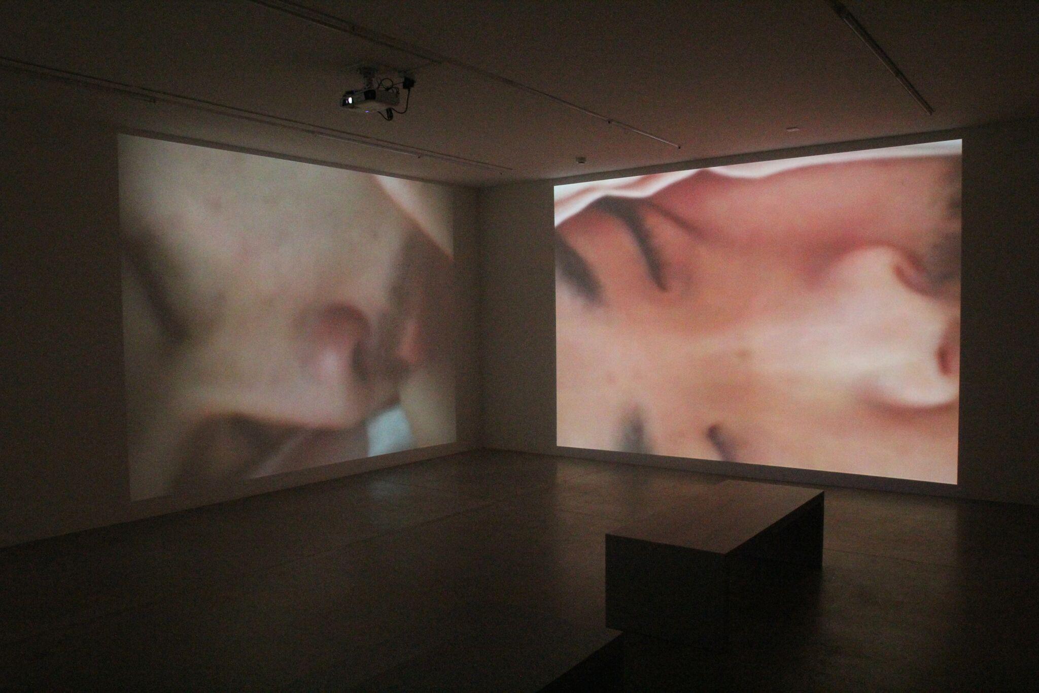 installation view