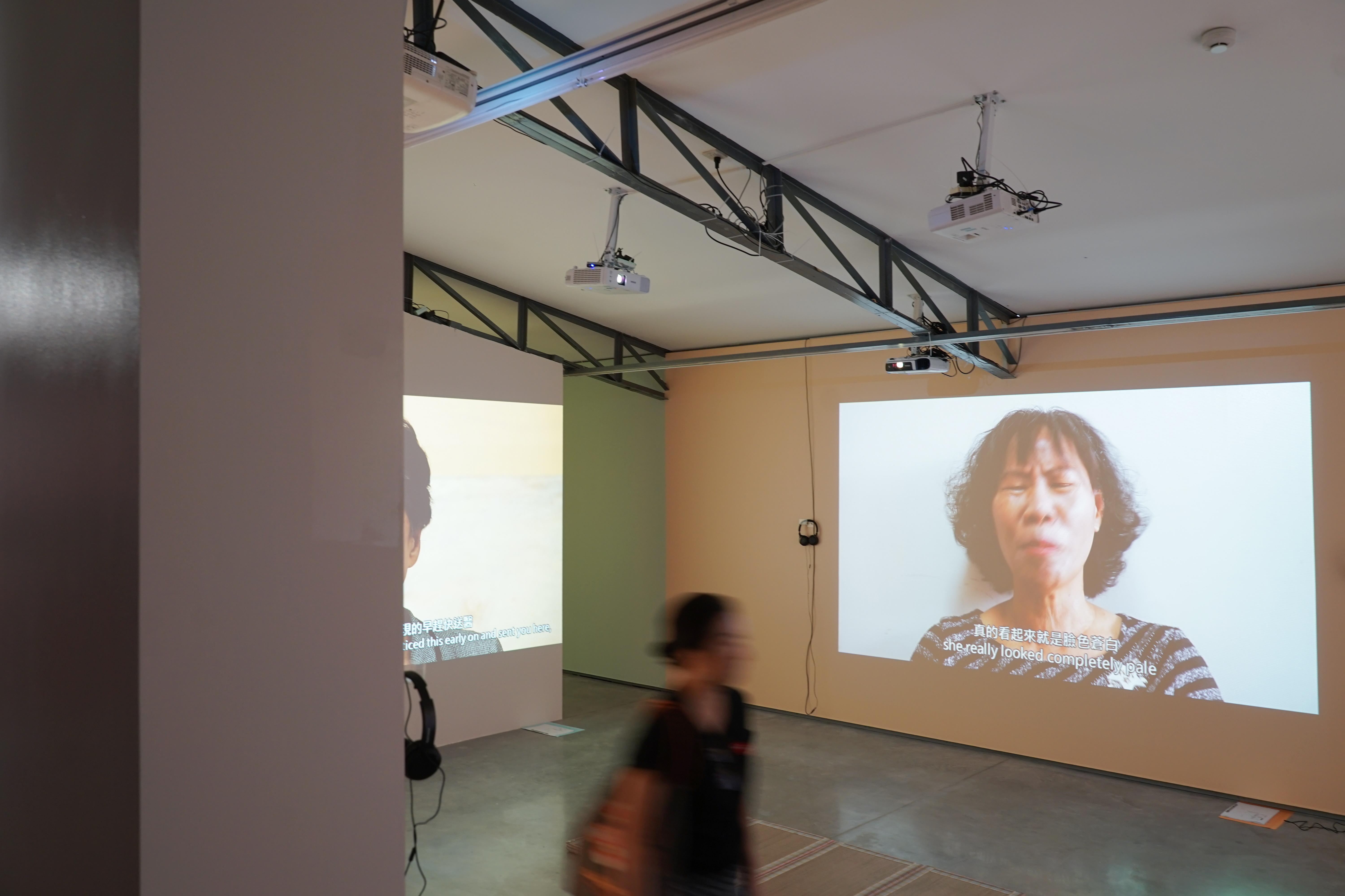 installation view