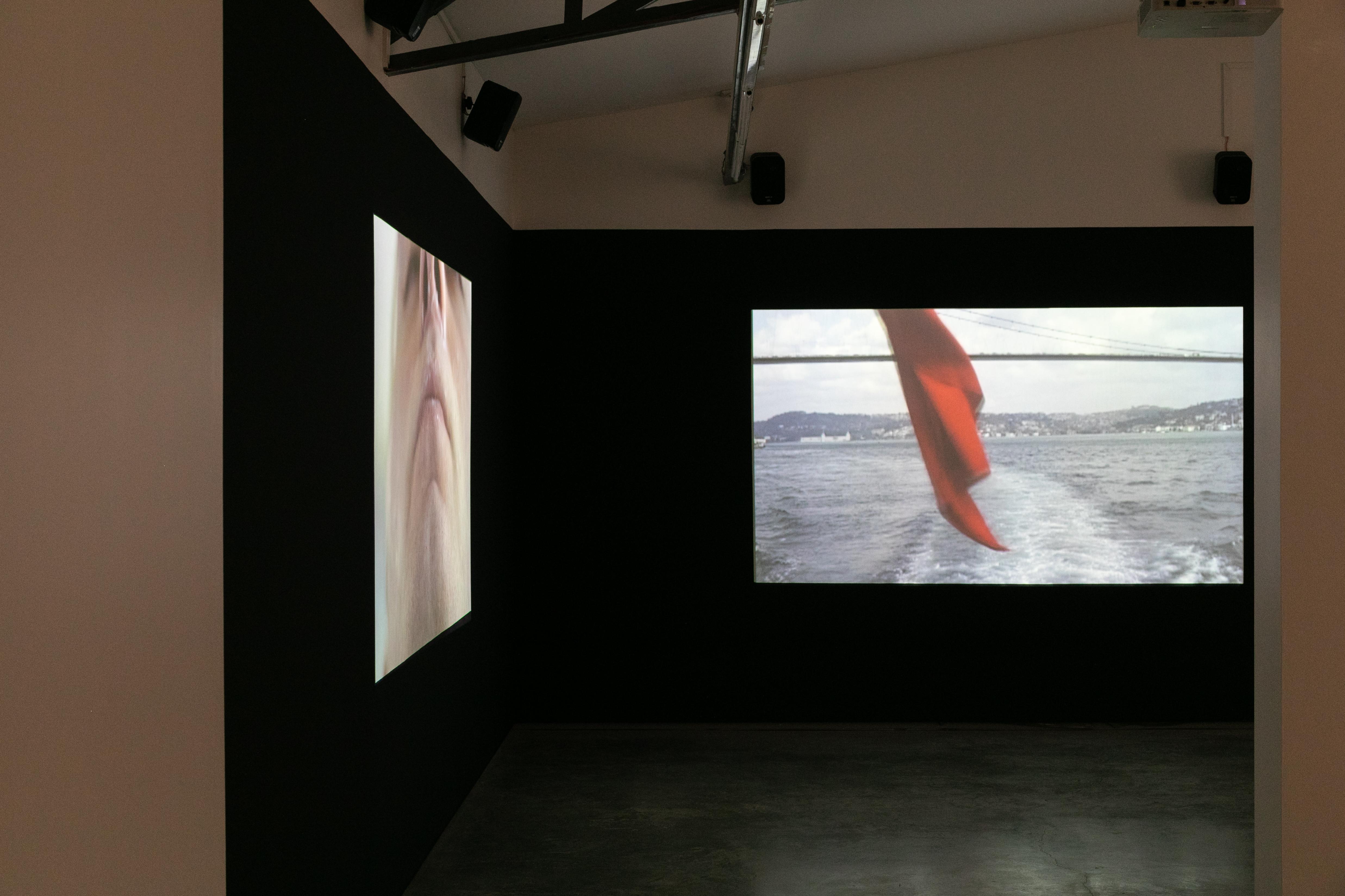 installation view