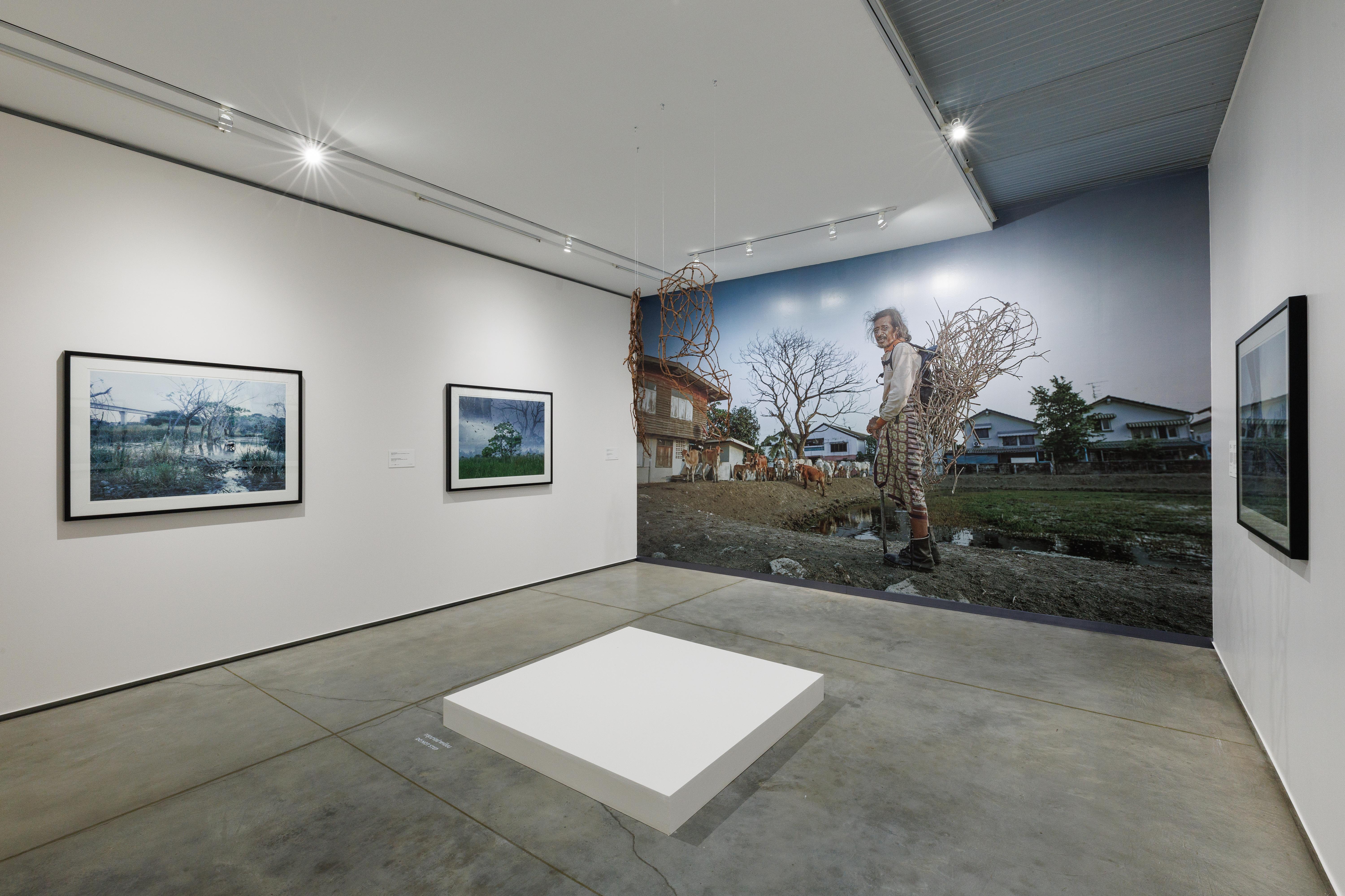 installation view