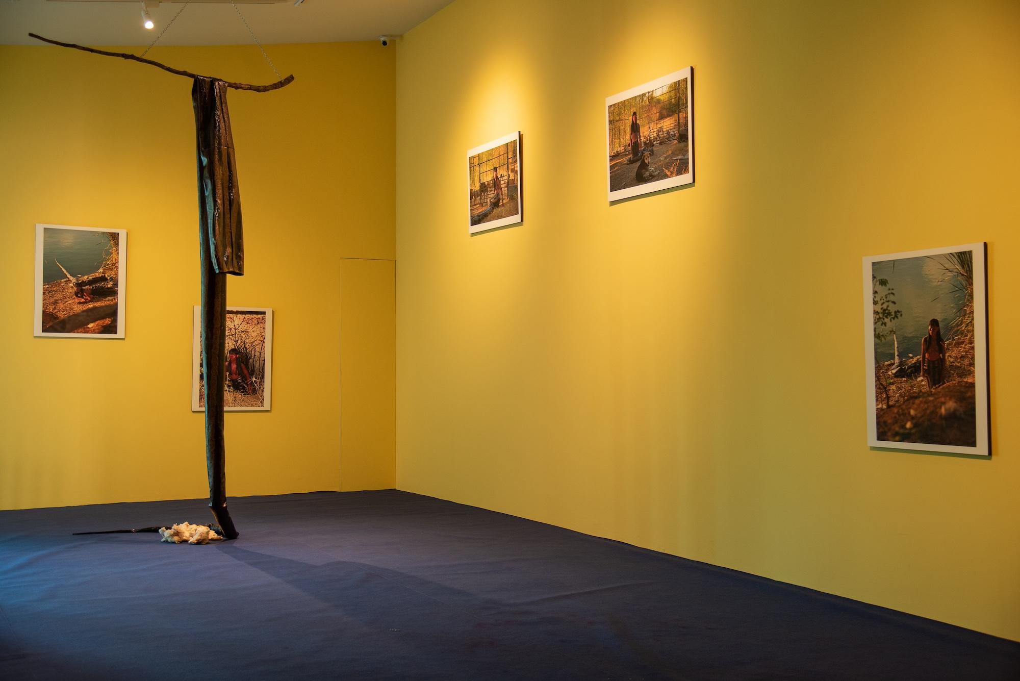 installation view