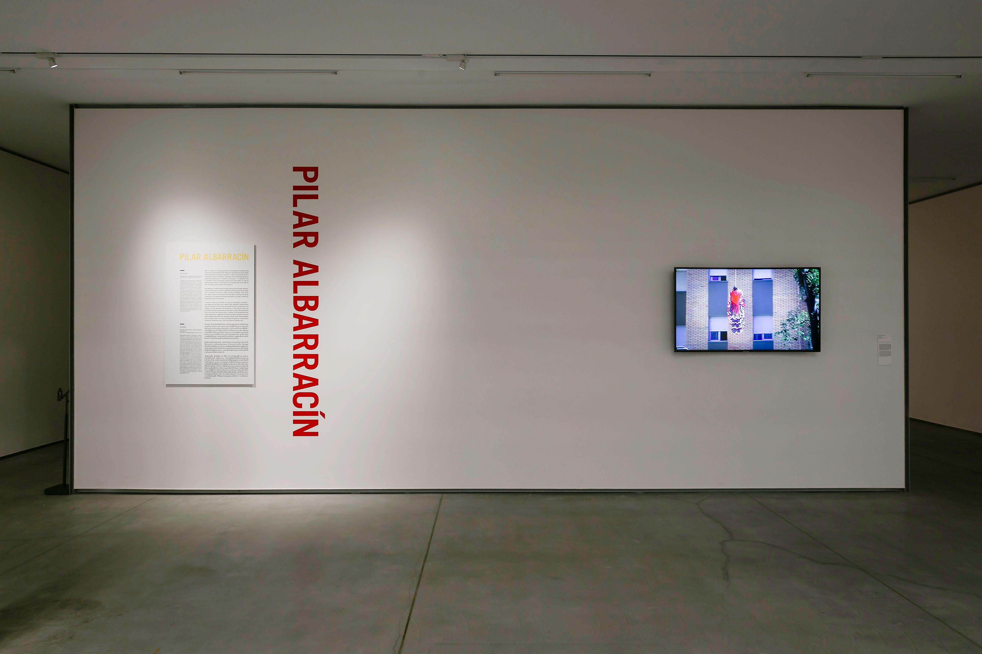 installation view