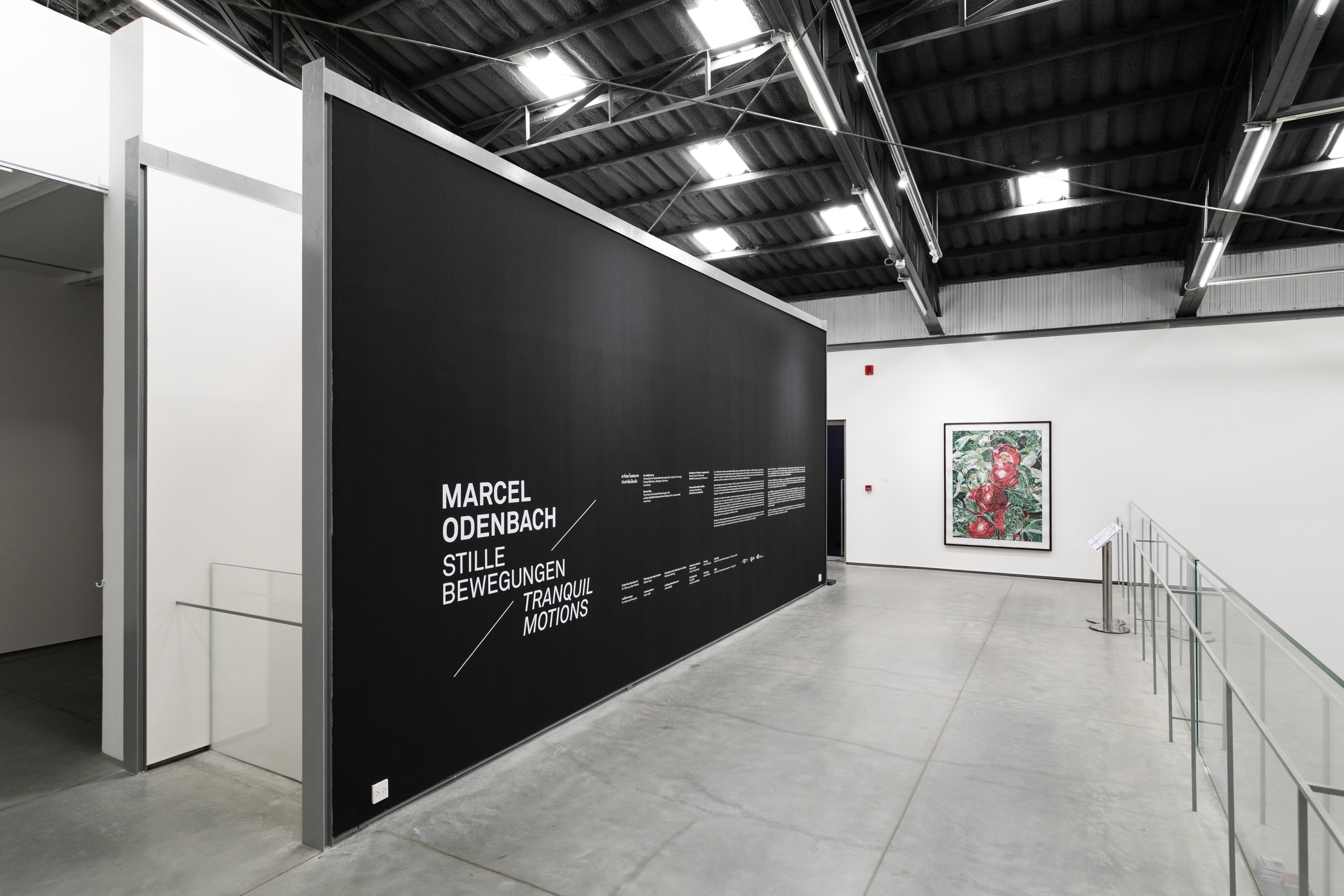 installation view