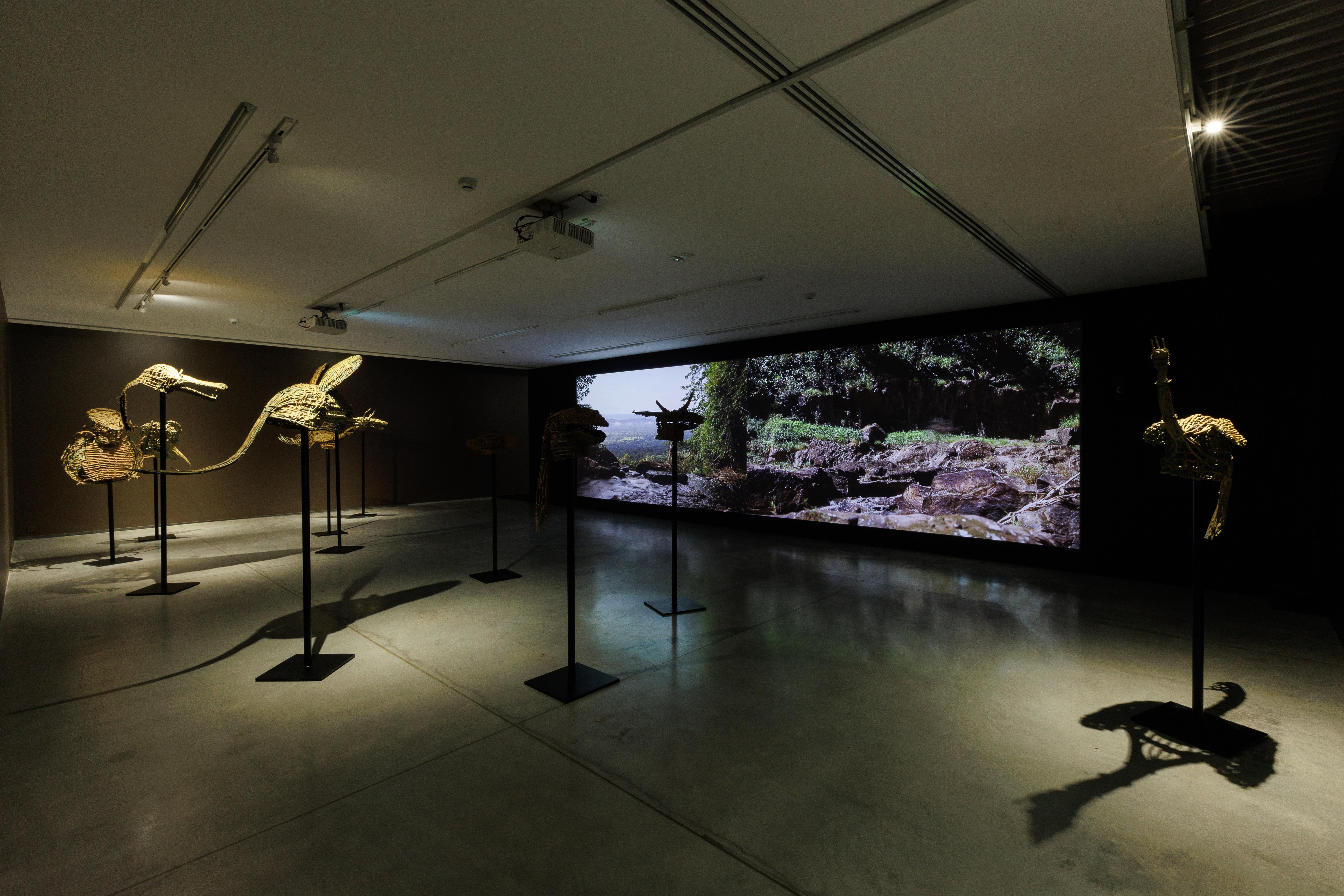 installation view