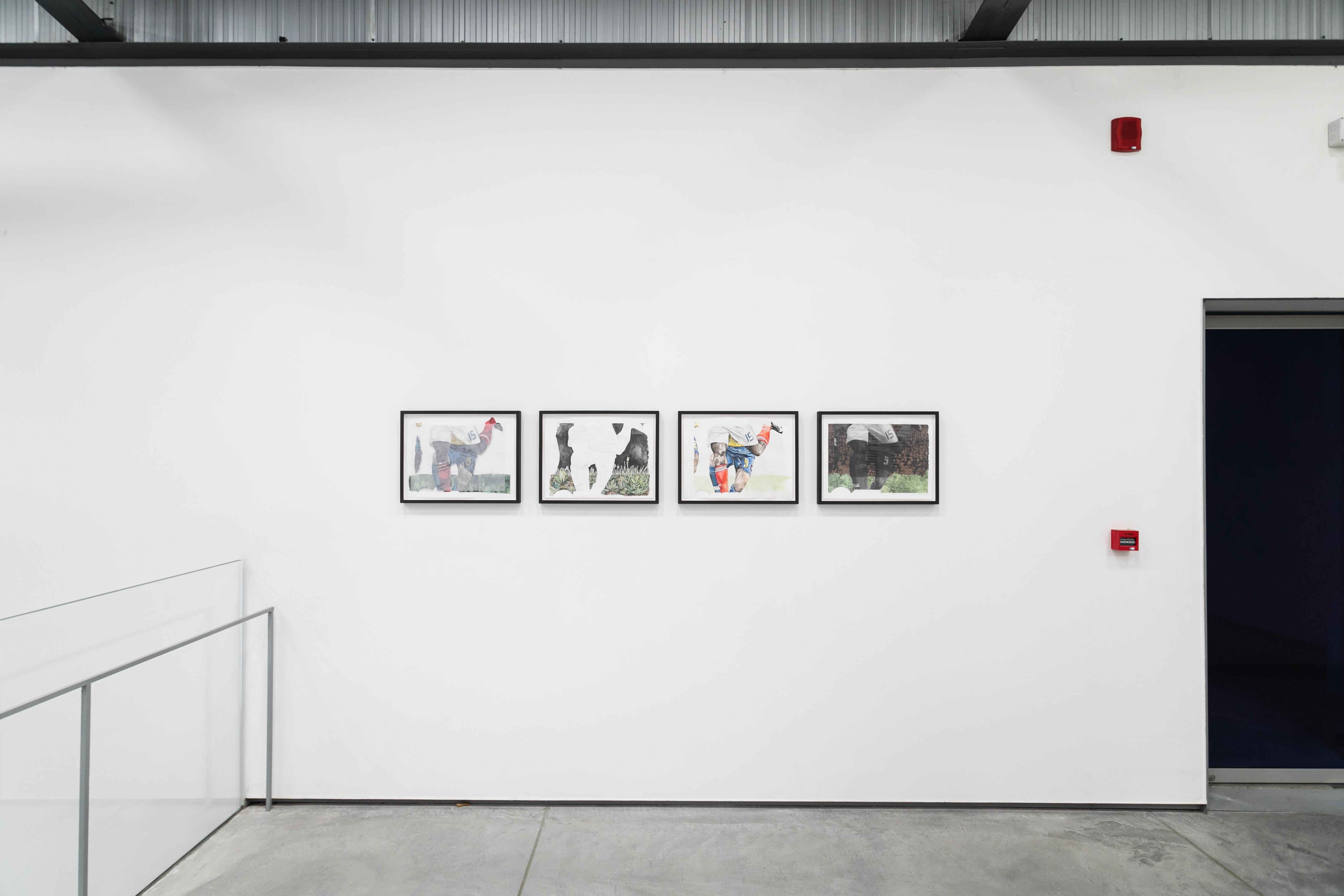 installation view