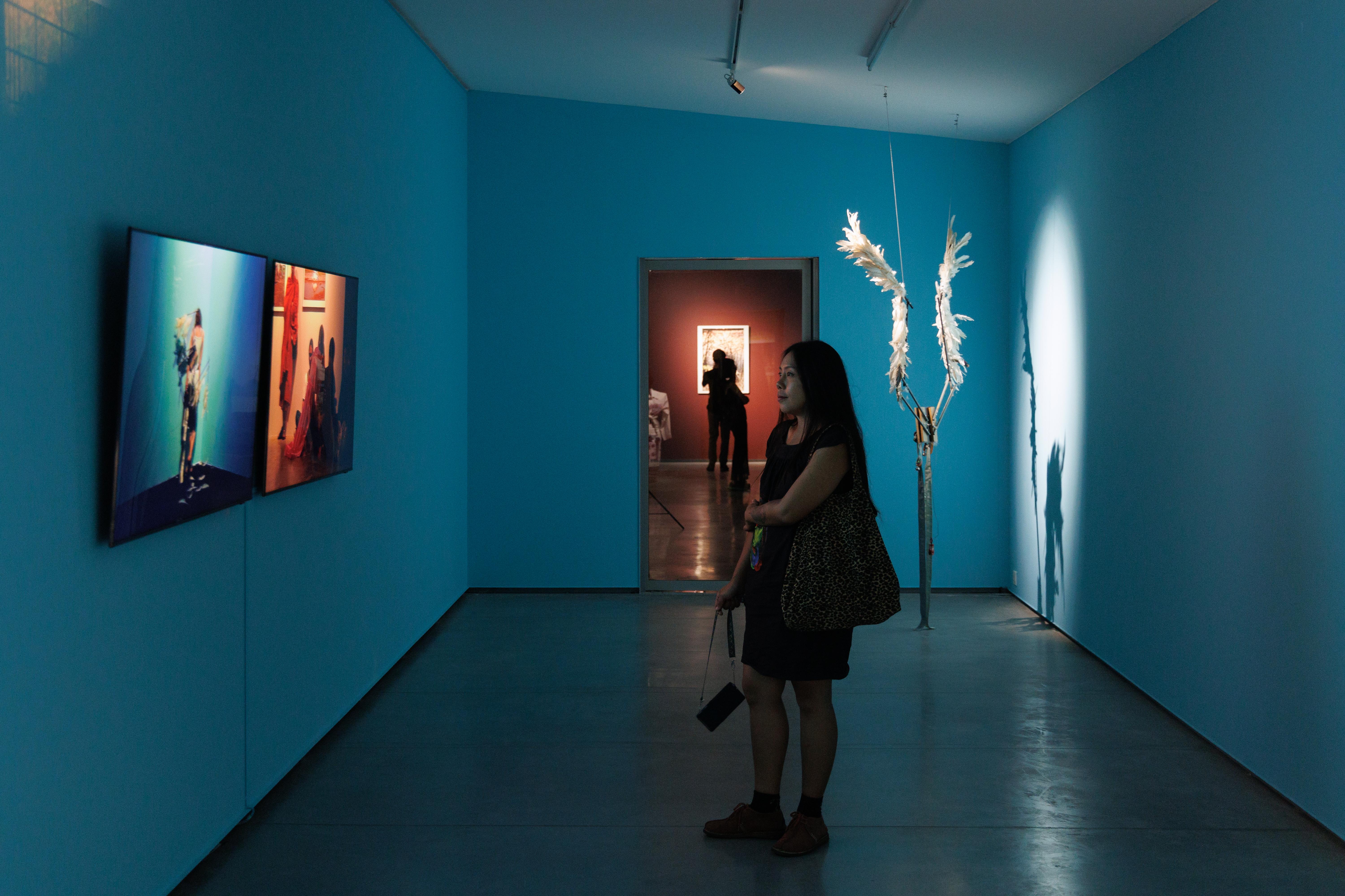 installation view