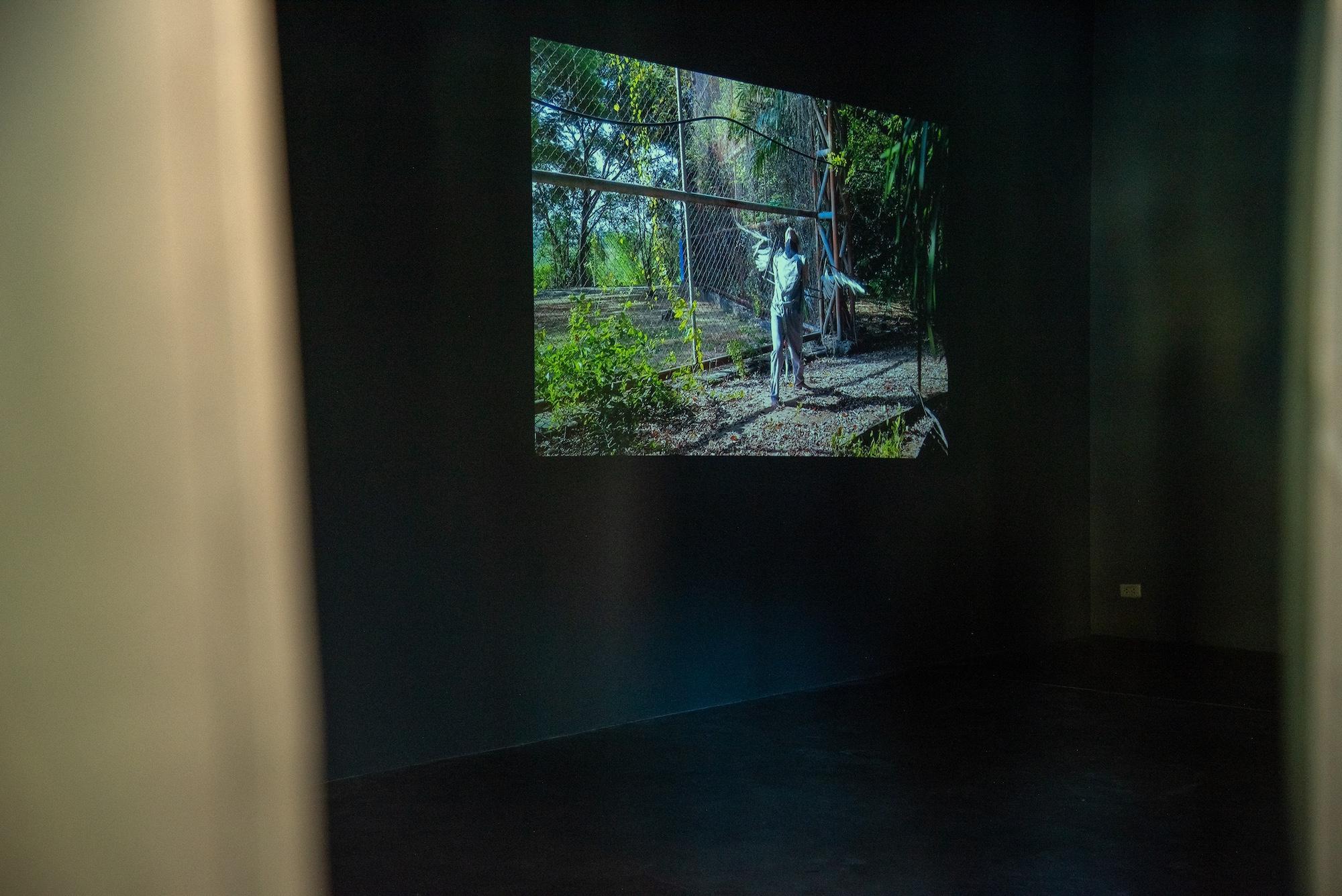 installation view