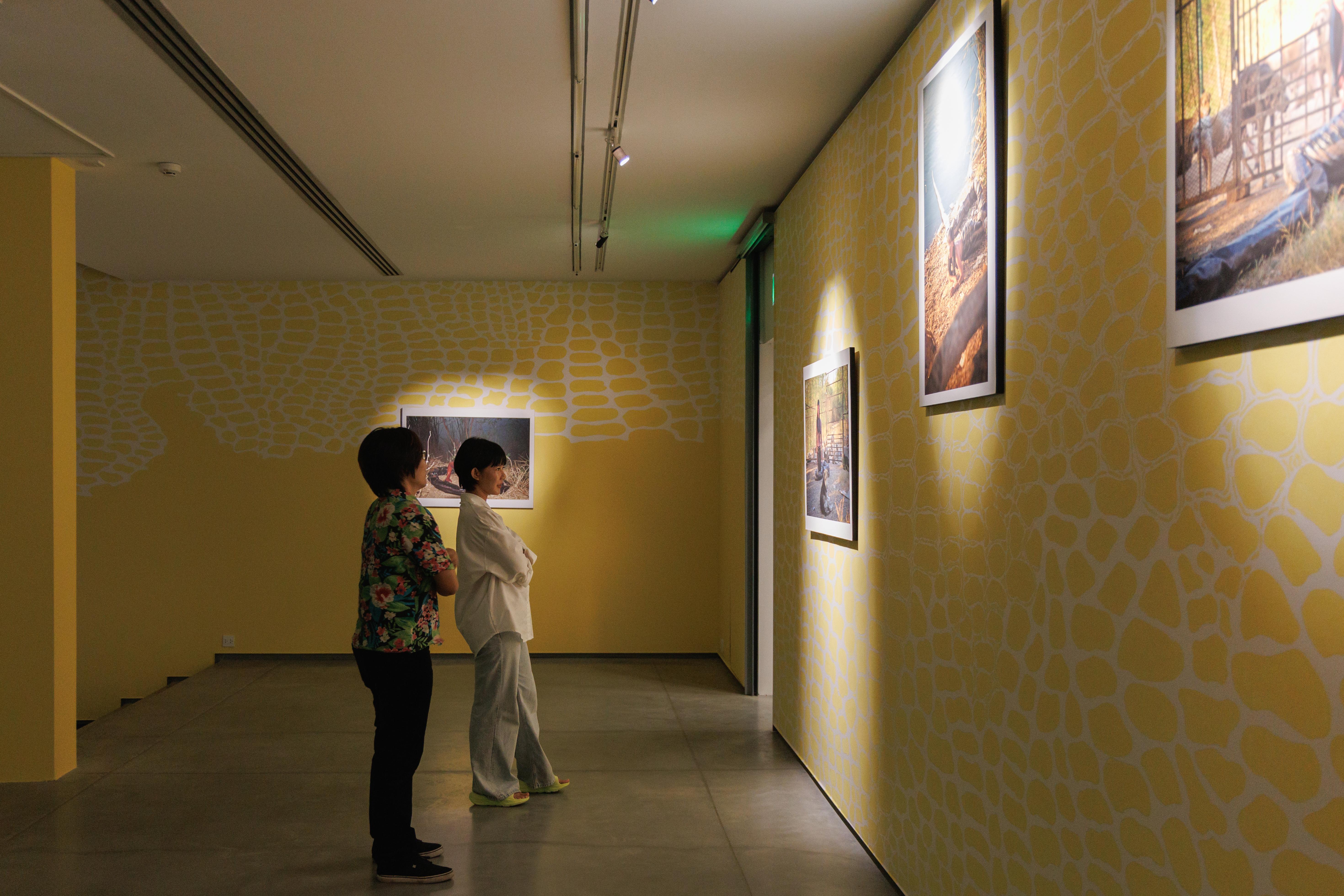 installation view