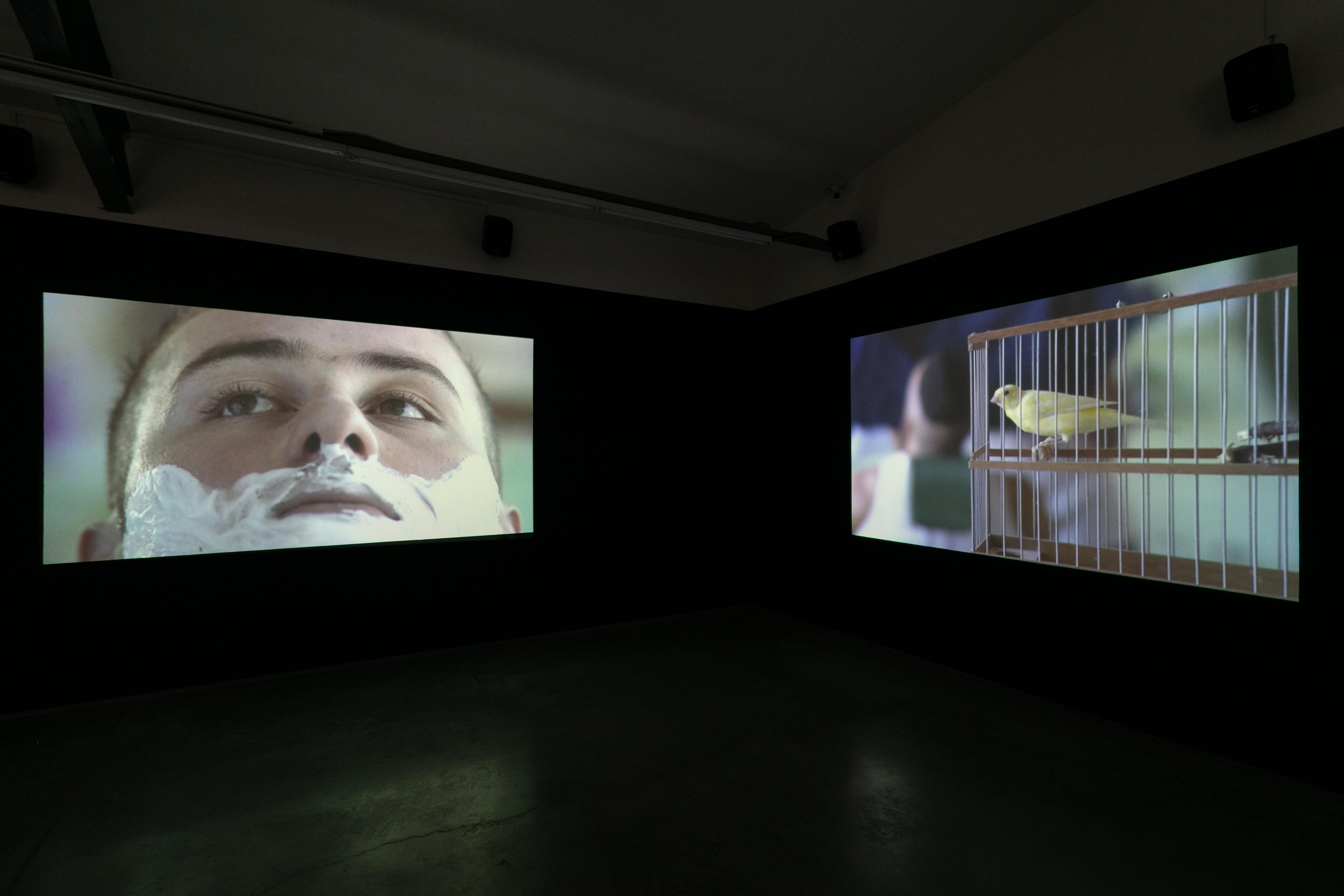 installation view