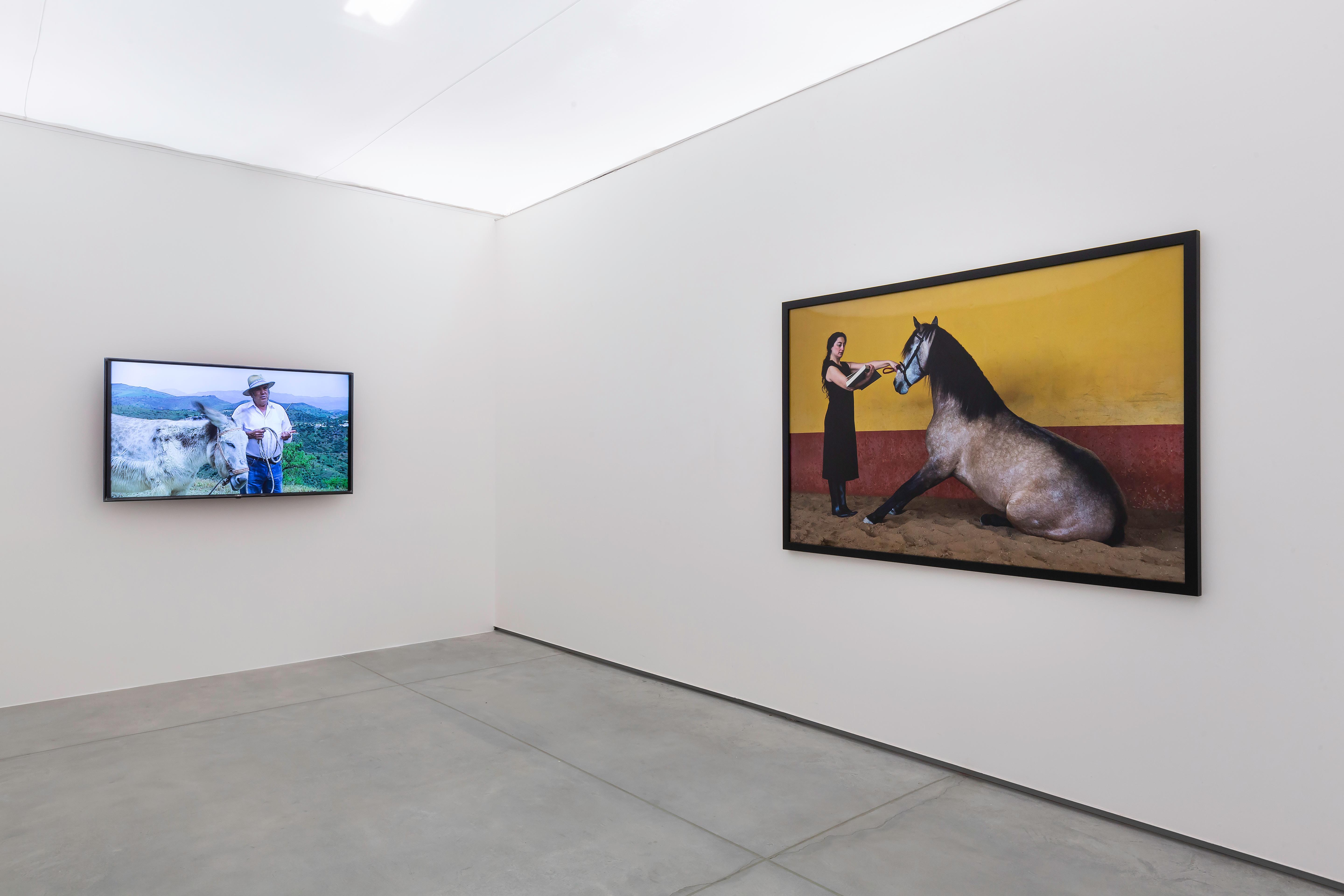 installation view