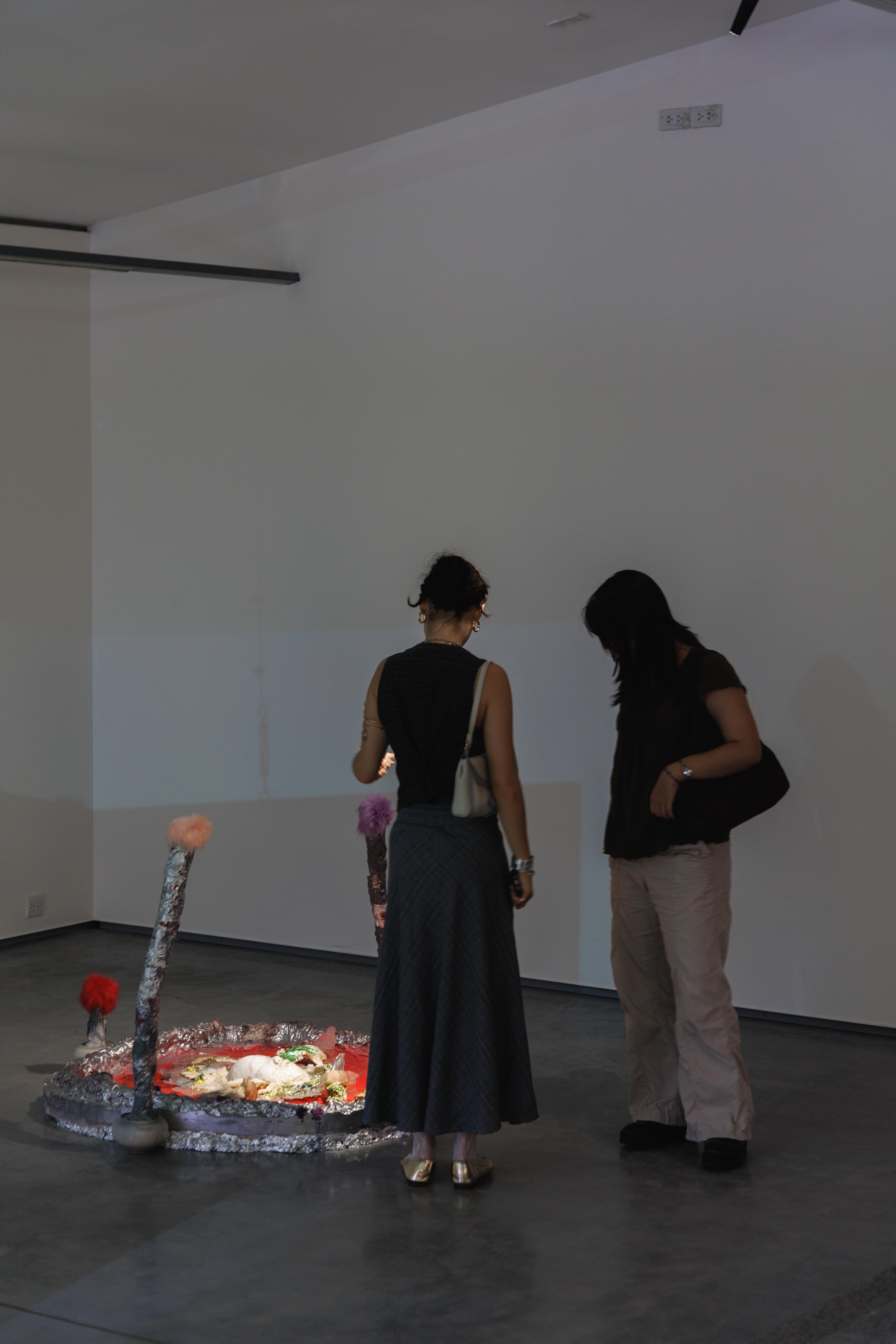 installation view