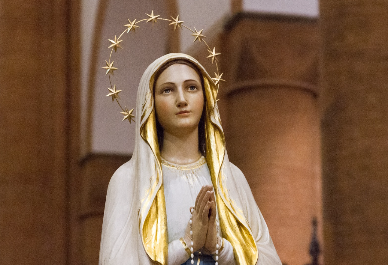 Co-Redeemer and Mediator