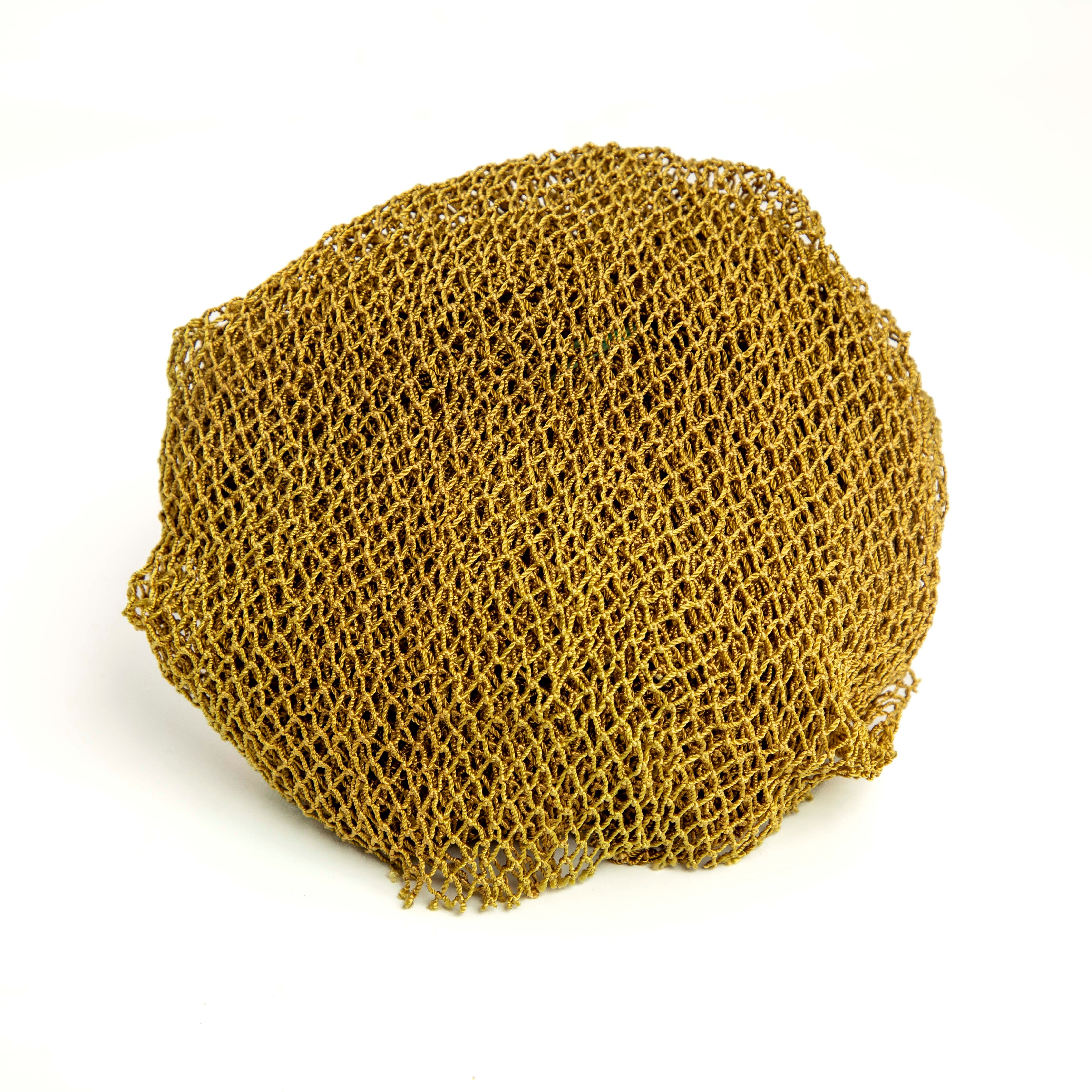 Sponge 6
