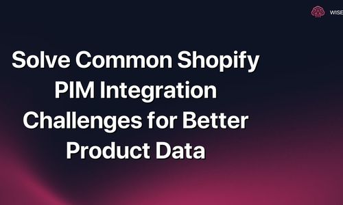 Solve Common Shopify PIM Integration Challenges for Better Product Data