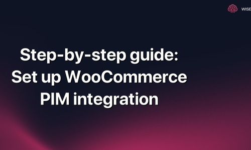 Step-by-step guide: Set up WooCommerce PIM integration