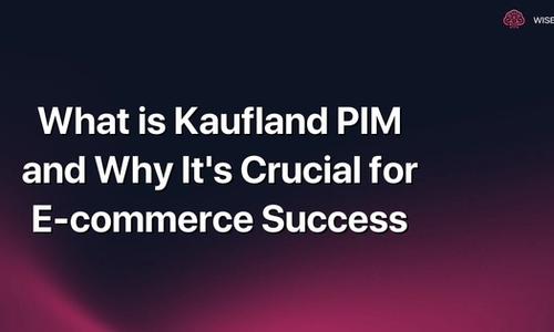 What is Kaufland PIM and Why It's Crucial for E-commerce Success