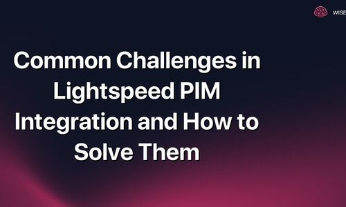 Common Challenges in Lightspeed PIM Integration and How to Solve Them