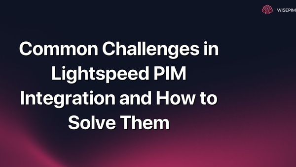 Common Challenges in Lightspeed PIM Integration and How to Solve Them