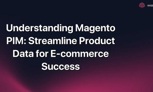 Understanding Magento PIM: Streamline Product Data for E-commerce Success