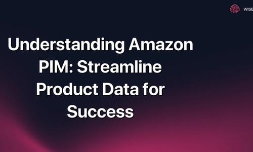 Understanding Amazon PIM: Streamline Product Data for Success