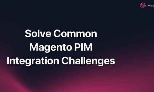 Solve Common Magento PIM Integration Challenges