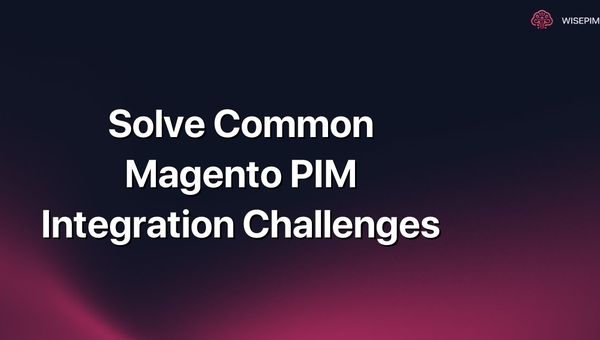 Solve Common Magento PIM Integration Challenges