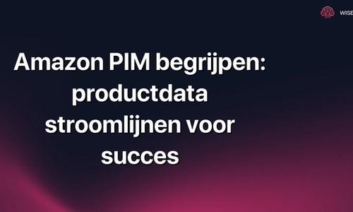 Amazon PIM begrijpen: productdata stroomlijnen voor succes