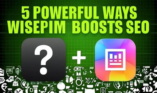 5 Ways WISEPIM Can Boost Your SEO Performance