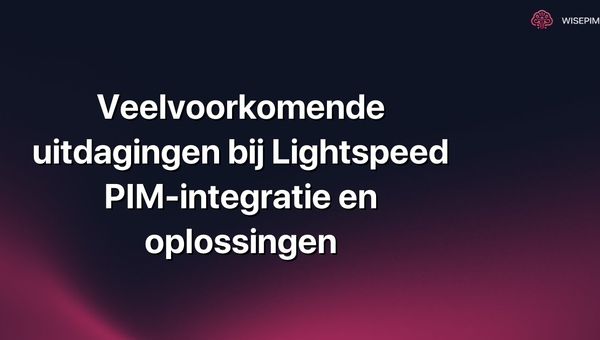 Veelvoorkomende uitdagingen bij Lightspeed PIM-integratie en oplossingen