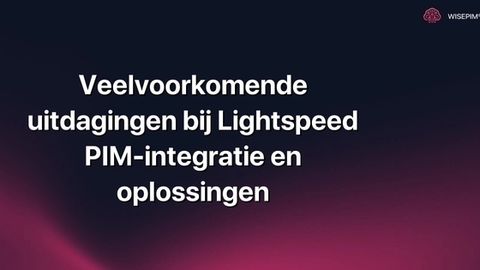 Hoe Lightspeed PIM-integratie uitdagingen effectief aanpakken?