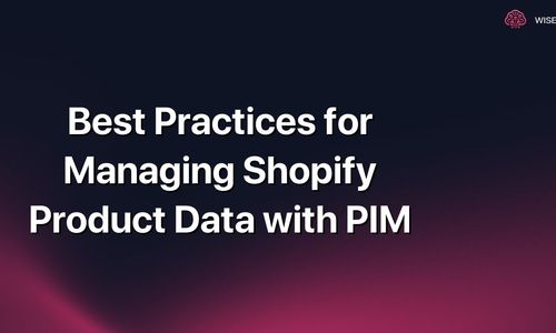 Best Practices for Managing Shopify Product Data with PIM